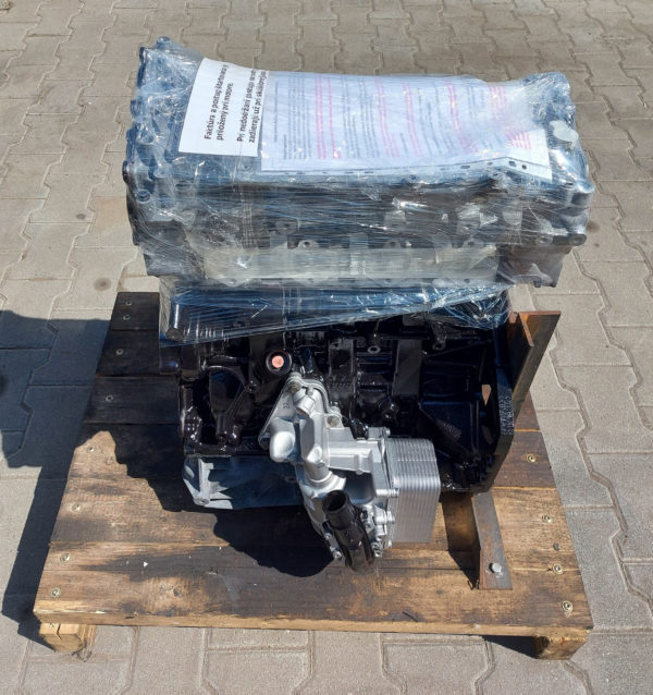 motor renault opel nissan 2.0