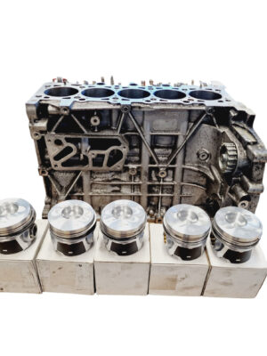 Blok motora Volkswagen T5 2.5tdi BNZ